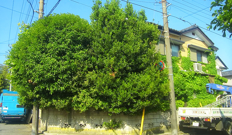 空家・空地 管理