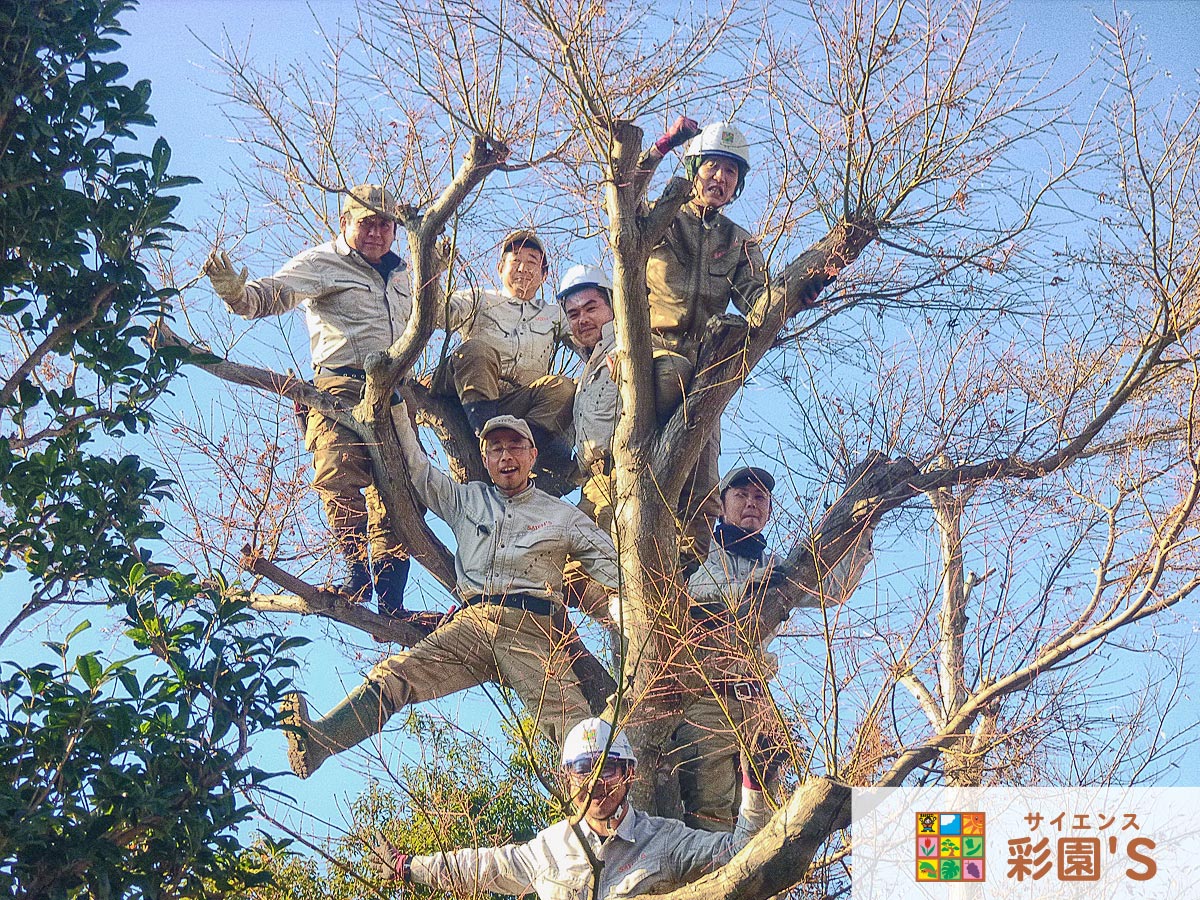 彩園’Ｓスタッフ写真