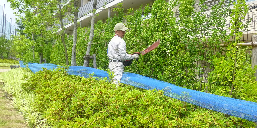 マンション・アパート等の緑地管理