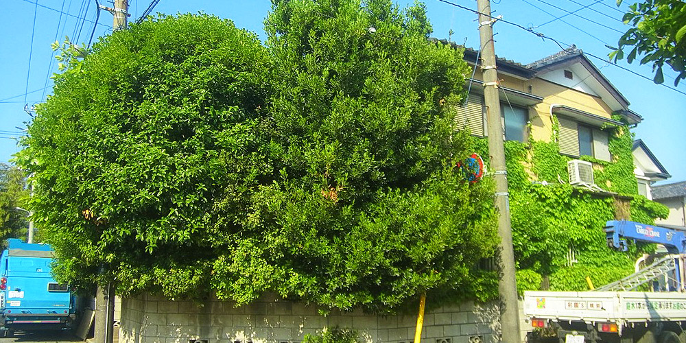 空家・空地管理