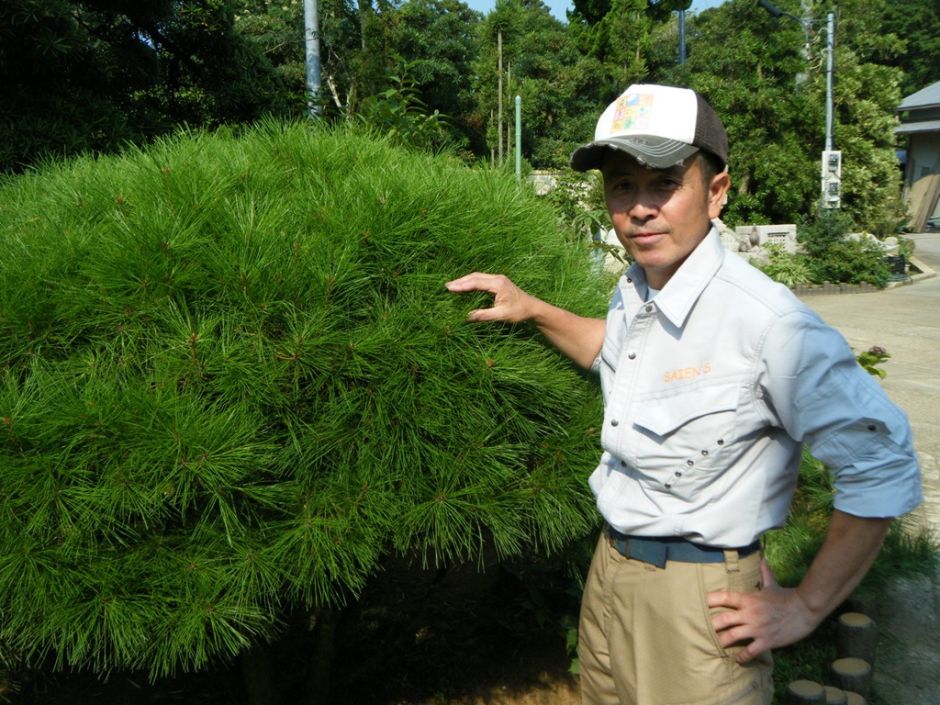 彩園‘Sを宜しくお願いします