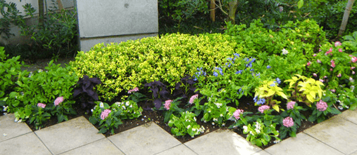 緑を増やしたい 緑を増やしたい