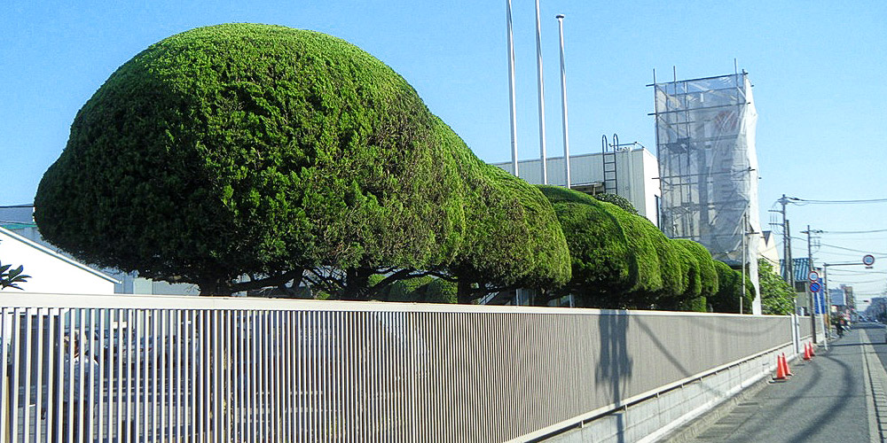 工場・倉庫周りの緑地管理
